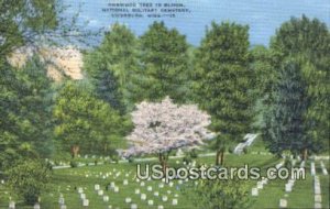 Dogwood Tree, National Military Cemetery in Vicksburg, Mississippi