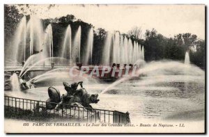 Park of Versailles Old Postcard Day of the large water basin of Neptune