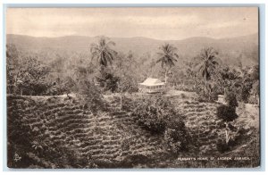 c1910 Pleasants Home Coconut Terraces St Andrew Jamaica JAM Jamaica Postcard