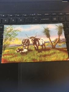 Vintage Postcard; Pioneers of the West, LH Dude Larsen