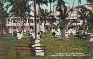 Florida Palm Beach Afternoon Tea & Band Concert In The Cocoa Nut Grove 1909