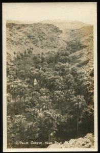 Palm Canyon, Near Palm Springs, CA. AZO real photo postcard. Pre-1940