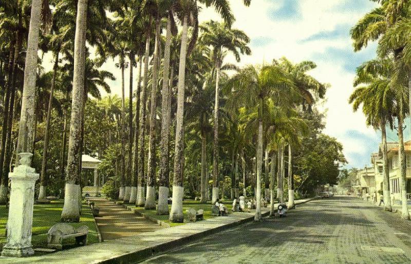 costa rica, LIMON, Partial View of the Vargas Park (1960s)