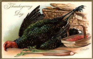 TUCK THANKSGIVING Dead Turkey w Cranberries a/s Wealthy c1910 Postcard