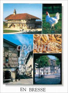 Postcard Modern En Bresse Bourg en Bresse Bresse Farm in St Triviers Courtes ...