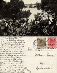 croatia, HVAR, Dalmatia, View from between Trees, Cactus (1929) RPPC Postcard