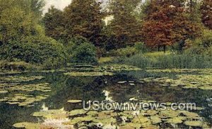 Lily Pond, Humboldt Park - MIlwaukee, Wisconsin WI  