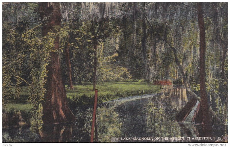 CHARLESTON, South Carolina, PU-1917; The Lake, Magnolia On The Ashley