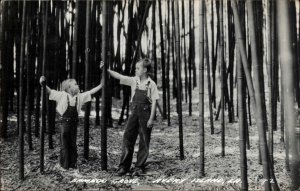 Avery Island Louisiana Little Boys Overalls Bamboo Grove Real Photo Postcard