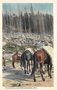 Big Horn Mountains Wyoming On the Trail Cowboys Horse Riding Postcard AA60450