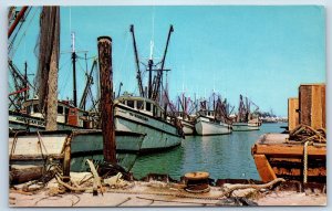 1965 Key West Florida FL Vintage Postcard Shrimp Boats Snuggling Harbour Posted