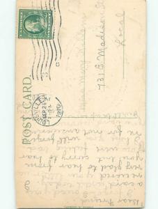 Divided-Back BIRDS SCENE Pretty Postcard AA9244