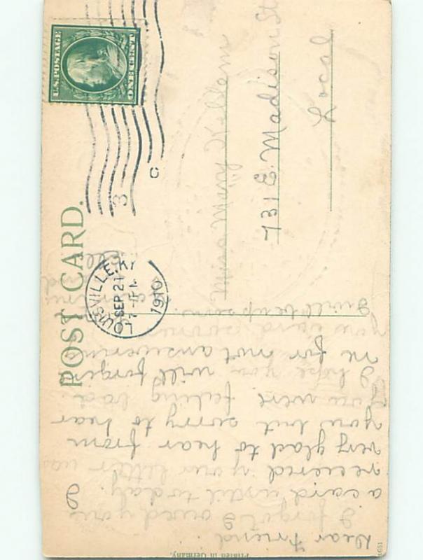 Divided-Back BIRDS SCENE Pretty Postcard AA9244