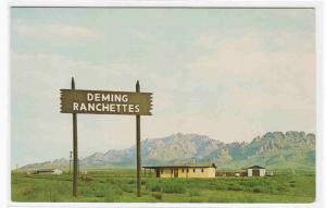 Deming Ranchette Homes Deming New Mexico postcard