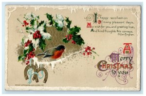 1911 Christmas Holly Snow Bird Horseshoe John Winsch Embossed Antique Postcard