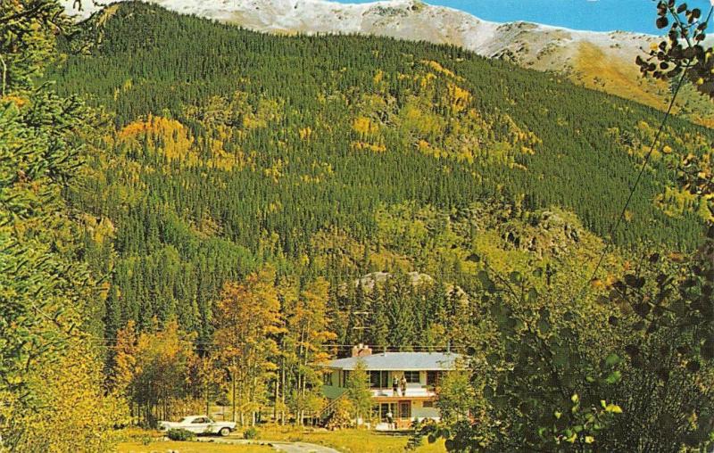 SILVER PLUME, CO  Colorado   HIGHLAND COTTAGES Clear Creek Co   c1950's Postcard