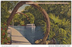 Florida Silver Springs Beauty Everywhere At Floirdas Famed Silver Springs 1952