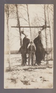 Wisconsin RPPC c1910 MOOSE HUNT Hunting 2 DEAD MOOSE HANGING Hunter Posing