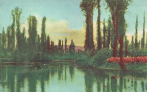 Vintage Postcard 1937 View of The Lake in Xochimilco Mexico D. F. MX Artwork
