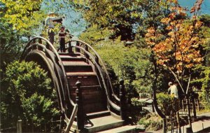 Oriental Tea Garden SAN FRANCISCO Golden Gate Park c1950s Vintage Postcard