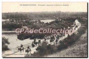 Old Postcard Les Sables d'Olonne Anes Walk in the Forest of Rudeli?re