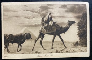 Mint Egypt Picture Postcard PPC Cairo Eventide