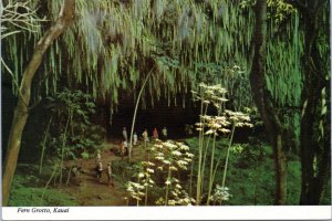 Postcard HI Kauai - Fern Grotto