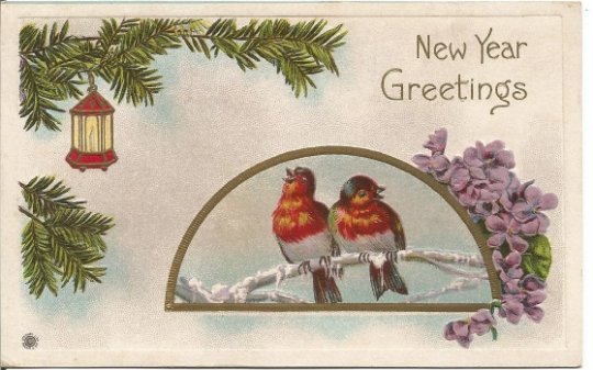 Red Breasted Snow Birds Swallow/Grosbeak on Ice Covered Branch New Year Greeting