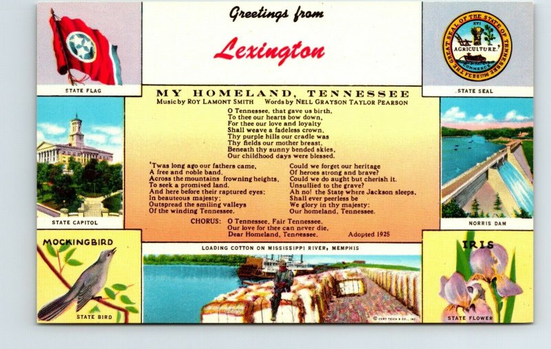 Greeting Lexington My Homeland Tennessee Song Cotton Souvenir Vintage Postcard