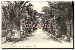 Old Postcard Menton A Allee Palmiers