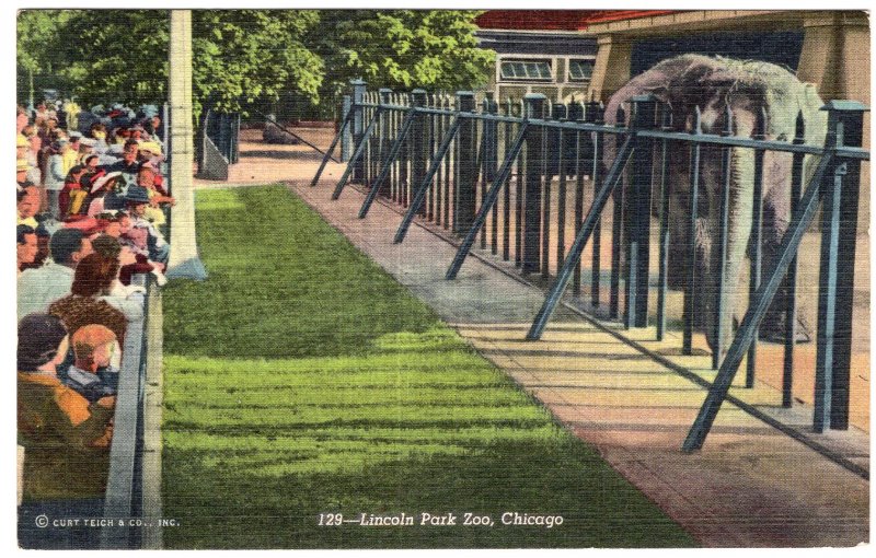 Chicago, Lincoln Park Zoo - Elephant