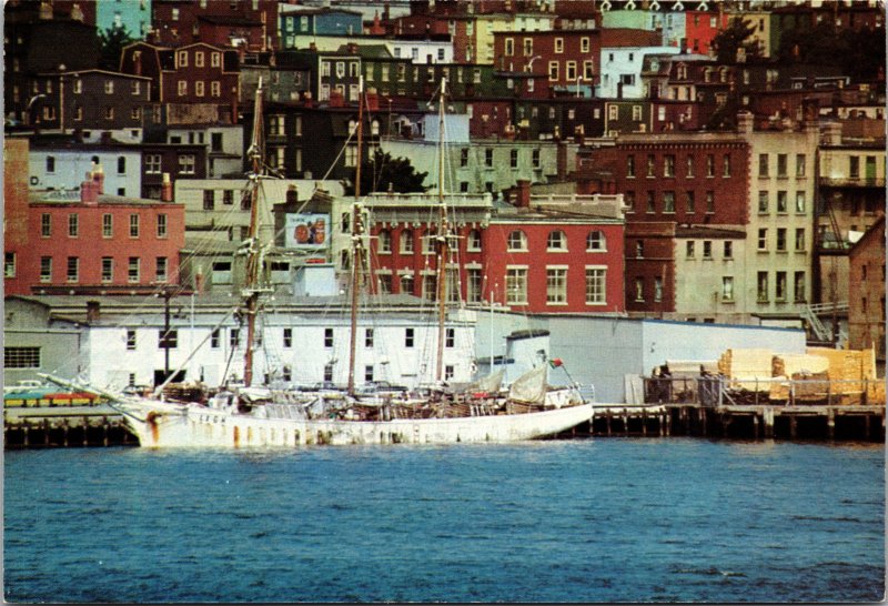 Harbour St John's Newfoundland Canada Prestamped Postcard unused 1980s