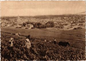 CPA Champagne Pommery & Greno - REIMS - AY - Vue générale Premier cru (741574)