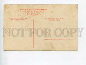3173810 CEYLON nude Rodiya Girls Vintage postcard
