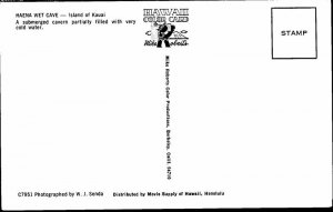 Postcard PEOPLE SCENE Kauai Hawaii HI AN4119