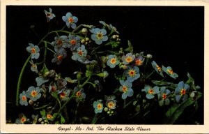 Vtg 1960s Forget Me Not The Alaskan State Flower Unused Postcard