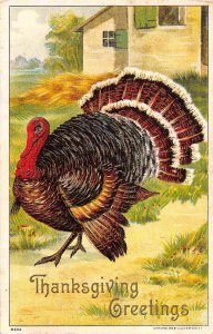 Thanksgiving Greetings Turkey Advertising Greenfield's Chocolates NYC postcard