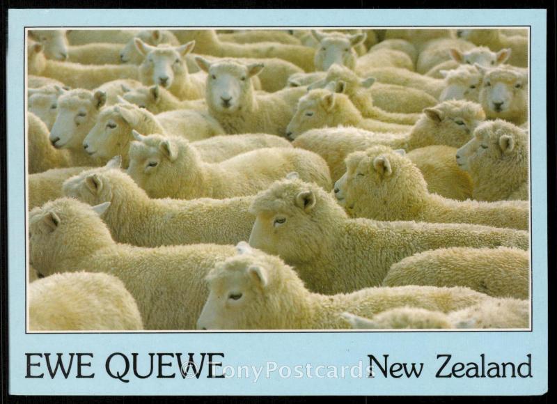 Ewe Quewe