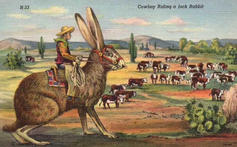 Vintage Postcard 1930's View of Cowboy Riding a Jack Rabbit Texas TX