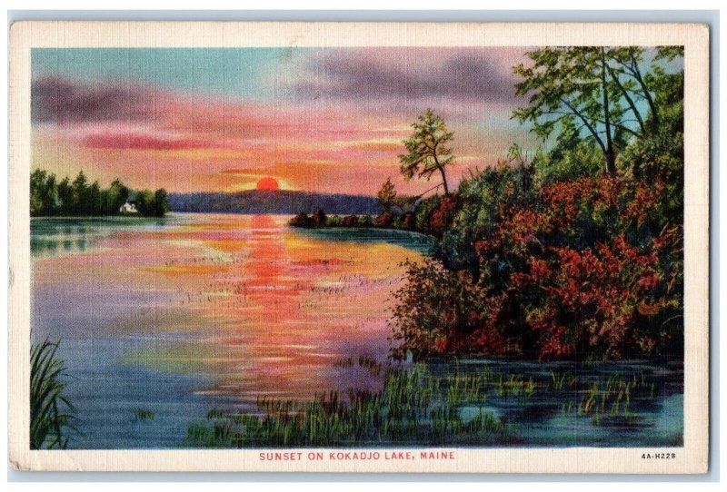 1936 View Of Sunset On Kokadjo Lake Cutler Maine ME Posted Vintage Postcard
