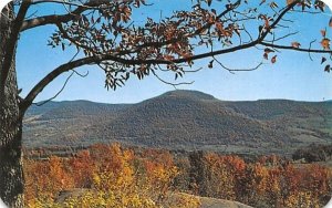 From Boyhood Rock in Roxbury, New York