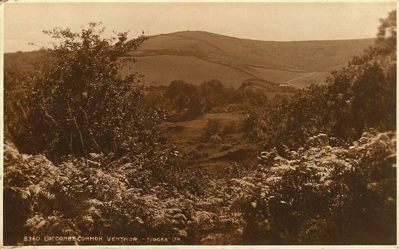 (y80) Luccombe Common Ventnor - Isle of Wight Postcard