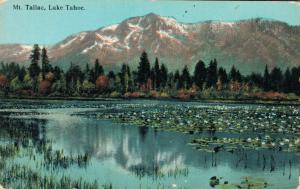 USA Mount Tallac Lake Tahoe 01.84
