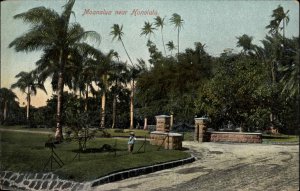 Hawaii Moanalua near Honolulu c1910 Vintage Postcard