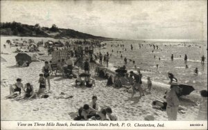 Chesterton Indiana IN Dunes State Park Three Mile Beach Vintage Postcard