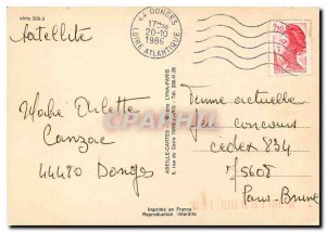 Modern Postcard Ducks