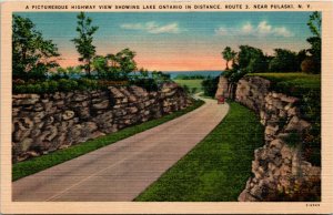 Postcard NY Pulaski A Picturesque Highway View Showing Lake Ontario 1940s H10