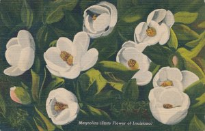 Magnolias - State Flower of Louisiana - Flowering Tree - Linen