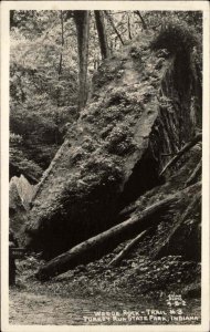 Turkey Run State Park Indiana IN Wedge Rock Cline Real Photo Postcard