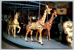 Carousel House Giraffe  Meridian  Mississippi  Postcard